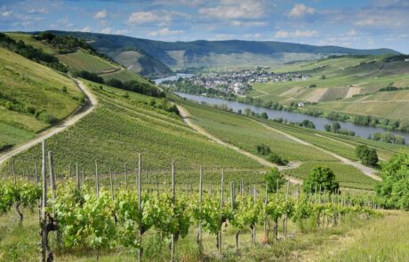 germany-7264701_1280